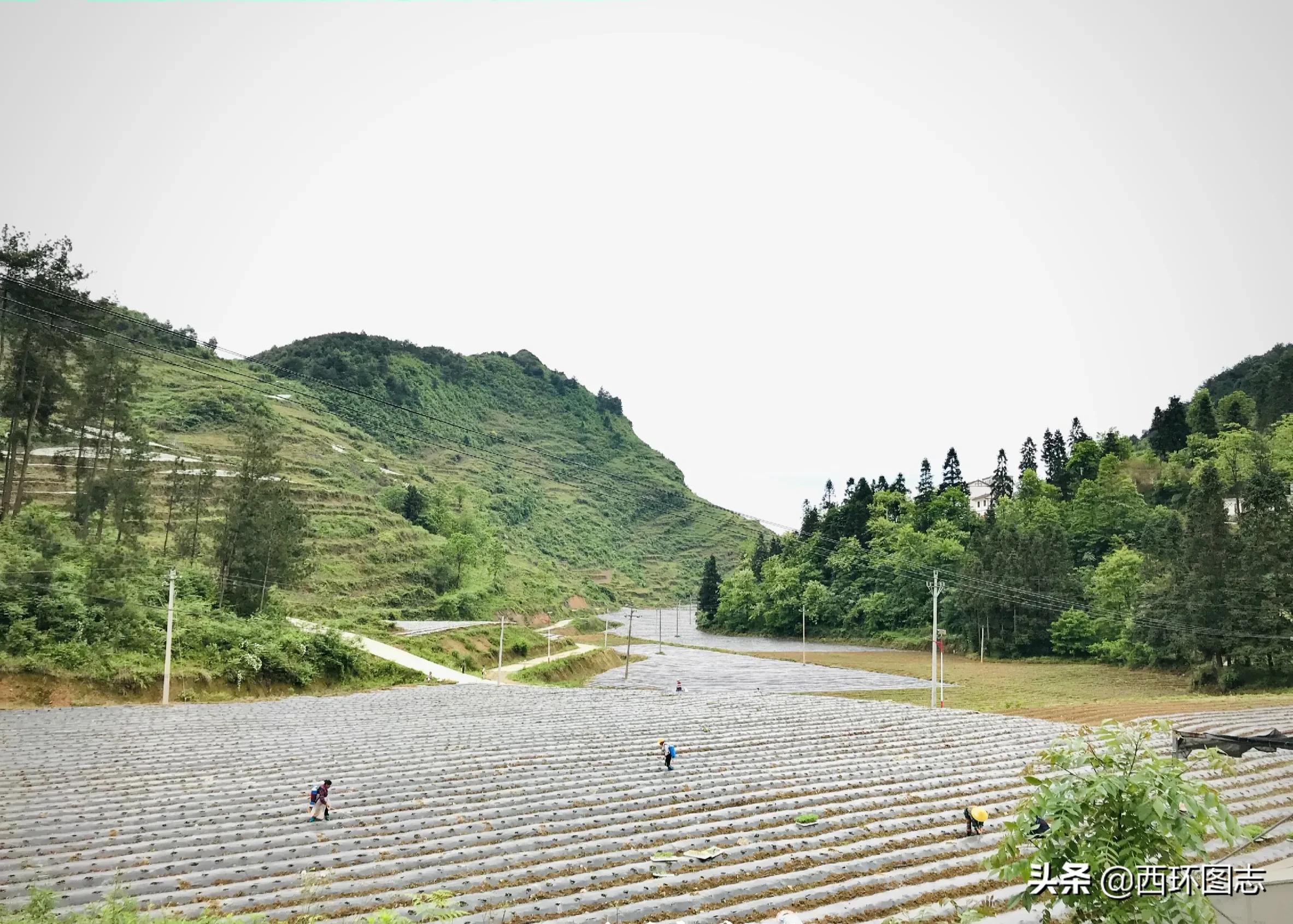 思南vs碧江篮球直播视频，一场铜仁德比背后的热血与烟火