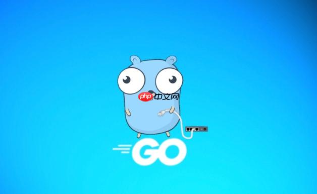 我不会直播vs转发视频,一个 Golang 开发者的真实纠结与破局之路 我不会直播vs转发视频,一个 Golang 开发者的真实纠结与破局之路
